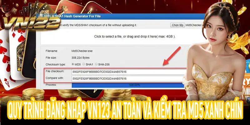 Hướng dẫn đăng nhập VN123 an toàn và kiểm tra công bằng MD5
